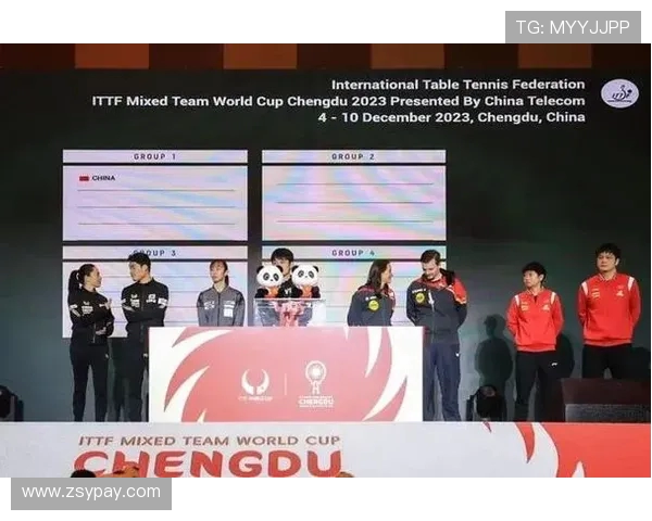 北京网球队在世界杯中的团队协作表现分析与精彩瞬间回顾