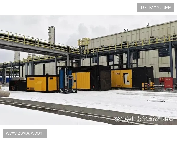 南京攀岩队的成功运营策略与发展模式深度分析